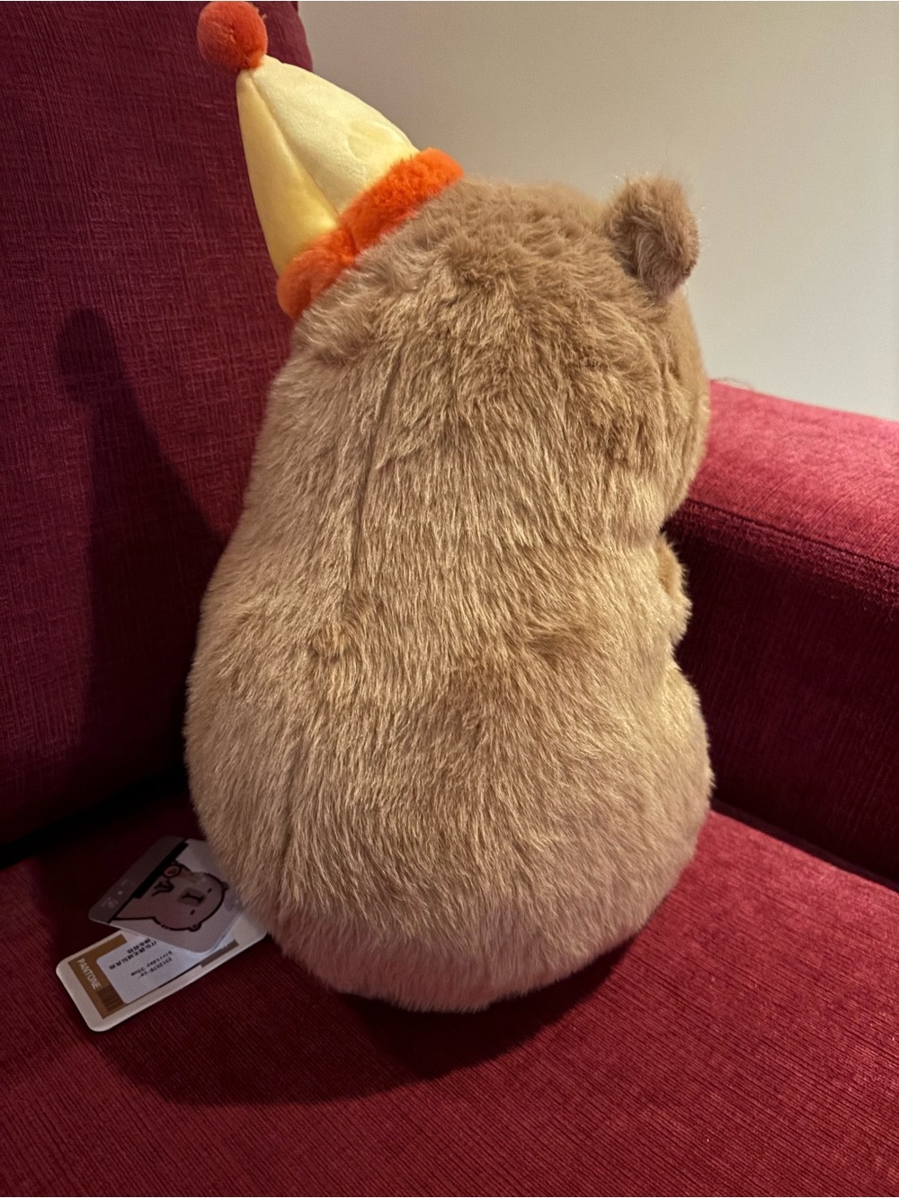 Plush Kawaii Brown Birthday Capybara Stuffed Animal - Picture 4 of 6